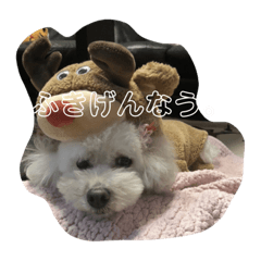 [LINEスタンプ] うちのこぷーのん