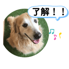 [LINEスタンプ] 相槌打つなら