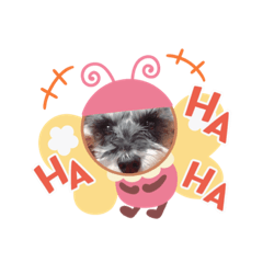 [LINEスタンプ] りづ時々じじ