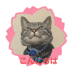 [LINEスタンプ] チル＆ロゼ②