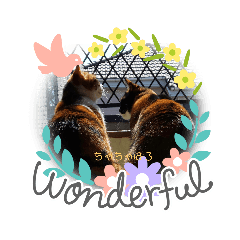 [LINEスタンプ] ちゃちゃばろすたんぷ