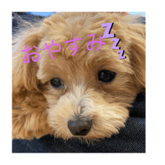 [LINEスタンプ] 音叶ちゃんスタンプ
