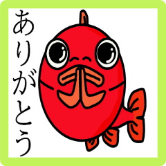 [LINEスタンプ] 金魚屋の書いた金魚挨拶