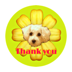 [LINEスタンプ] ティアメロ