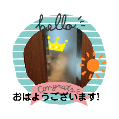 [LINEスタンプ] かわいい猫のプッチとみかん4
