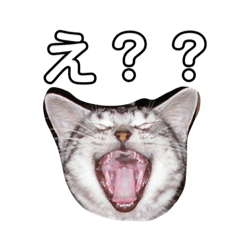 [LINEスタンプ] めめしおん
