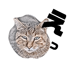 [LINEスタンプ] 鉛筆画のネコ《相づち》