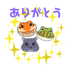 [LINEスタンプ] うちの3ペット♡