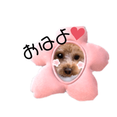[LINEスタンプ] だーくんのスタンプ❣️