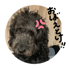 [LINEスタンプ] ぷーのすけ ver.1