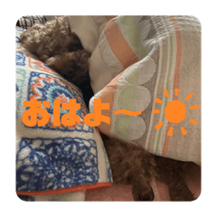 [LINEスタンプ] ブランその①
