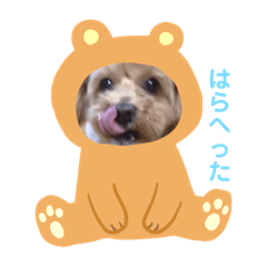 [LINEスタンプ] マロンのスタンプだよ