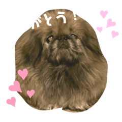 [LINEスタンプ] ムックの気持ち1