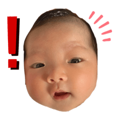 [LINEスタンプ] 菅野家の平和スタンプ