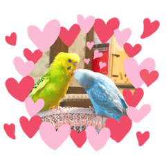 [LINEスタンプ] 愉快なインコたち2