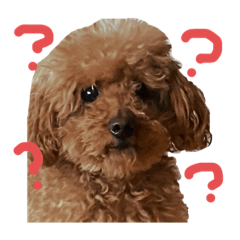 [LINEスタンプ] まろすけ(8)♂