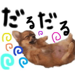 [LINEスタンプ] ころんコロコロ(2)