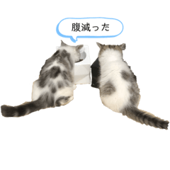 [LINEスタンプ] sol 'n' luna stanp