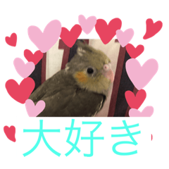 [LINEスタンプ] インコふぁみりー