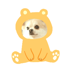 [LINEスタンプ] ゆるかわももちゃん2