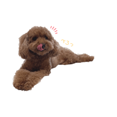 [LINEスタンプ] 茶色いもふもふのおともだち