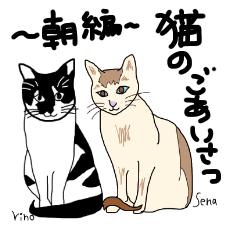 [LINEスタンプ] 猫のごあいさつ。～朝編～