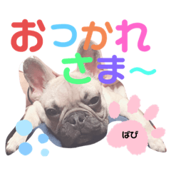 [LINEスタンプ] フレバビスタンプU´•ﻌ•`U