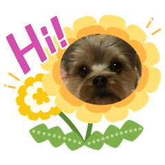 [LINEスタンプ] 小鉄の毎日