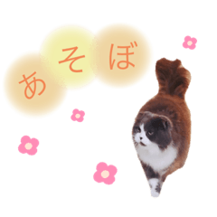[LINEスタンプ] animal stamp ♡