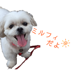 [LINEスタンプ] ミルフィスタンプ