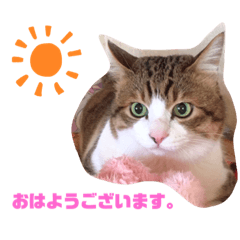 [LINEスタンプ] あもくんスタンプ♡3