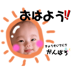 [LINEスタンプ] はるるん日常♫