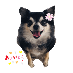[LINEスタンプ] チッぴー