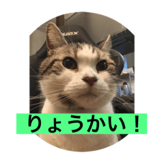 [LINEスタンプ] 球のあいさつ