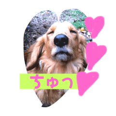 [LINEスタンプ] ぽんたろU・x・U