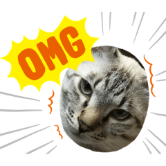 [LINEスタンプ] にゃんともあいさつ
