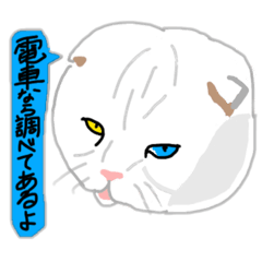 [LINEスタンプ] 白い猫リアルver