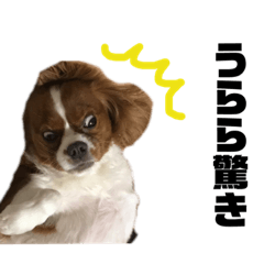 [LINEスタンプ] うららスタンプ1