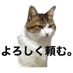 [LINEスタンプ] なふ子とあい子と仲間たち★