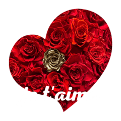 [LINEスタンプ] パリジェンヌの休日inフランス