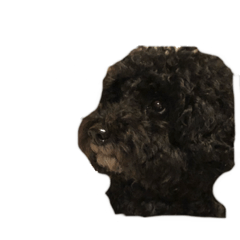 [LINEスタンプ] 愛くるしいすたんぷ