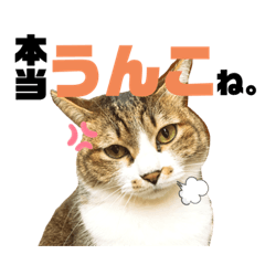 [LINEスタンプ] ネコのりんご