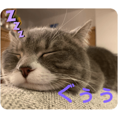 [LINEスタンプ] にゃんたろうですぅ