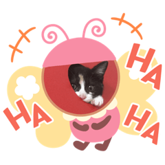 [LINEスタンプ] 三毛猫ミナちゃん②