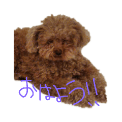 [LINEスタンプ] ペット大集合です