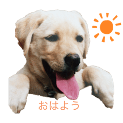 [LINEスタンプ] ラブU^ェ^U パート1