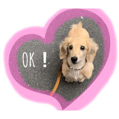 [LINEスタンプ] ディラン！！