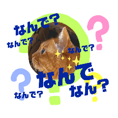 [LINEスタンプ] FUKU-HANA-1