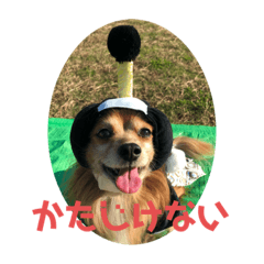 [LINEスタンプ] チワックス虎龍