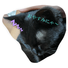 [LINEスタンプ] えみことるみこ！！
